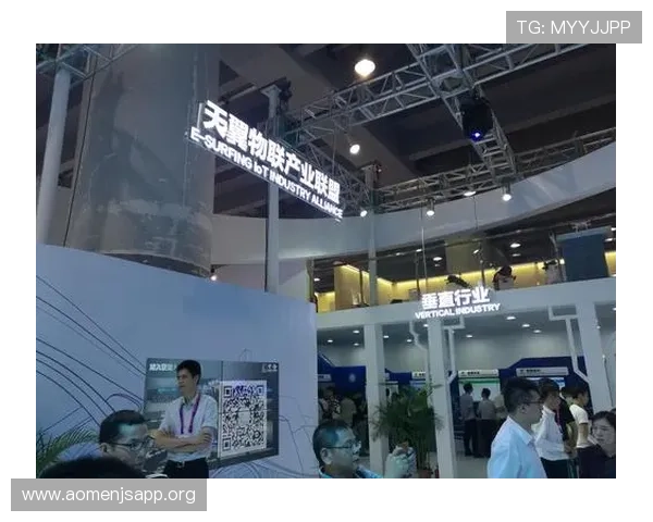 十六铺娱乐场的合作伙伴与品牌联盟，打造多元化的娱乐生态圈