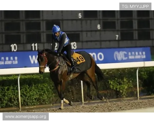 澳门赛马会奖金分配与奖励机制详解让你了解赛事的丰厚回报